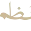 مؤسسات السوق المالية
